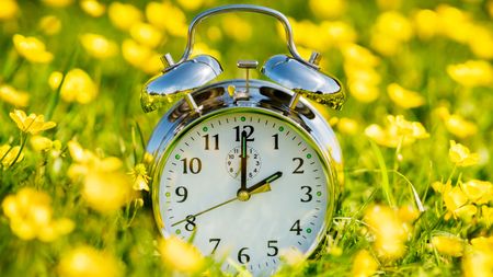 A photograph of a silver clock in grass